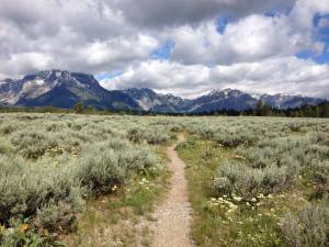 1009741_10152978177020427_1165071813_n